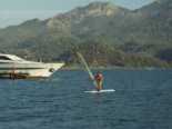 Surfen