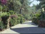Weg zum Strand