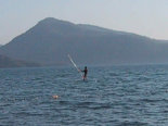 Weit Surfer